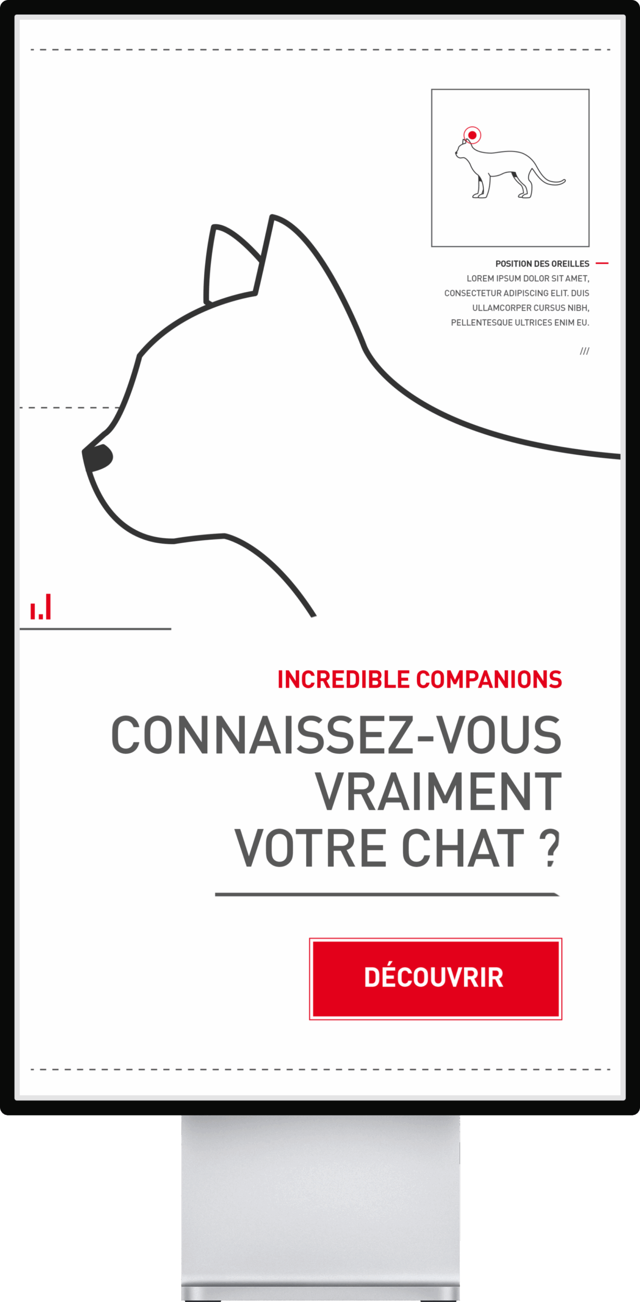 MaisonMotte_RoyalCanin_MockupCat