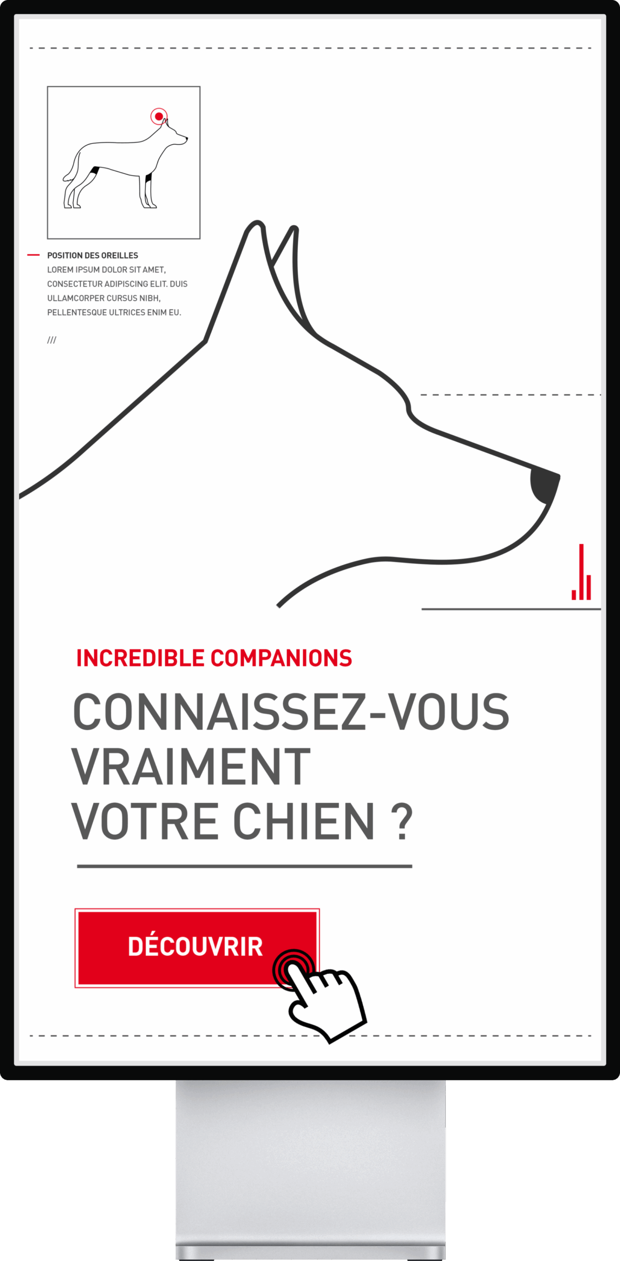 MaisonMotte_RoyalCanin_MockupDog