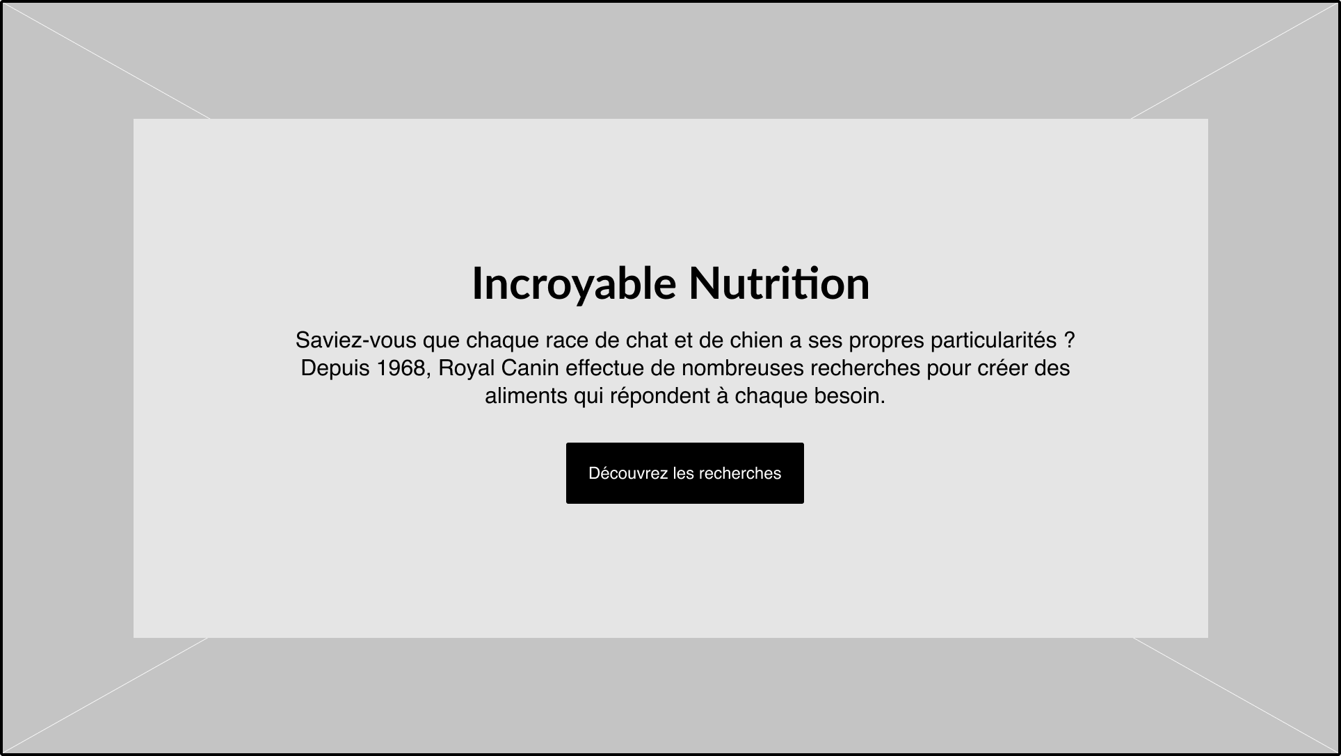 MaisonMotte_RoyalCanin_WF1