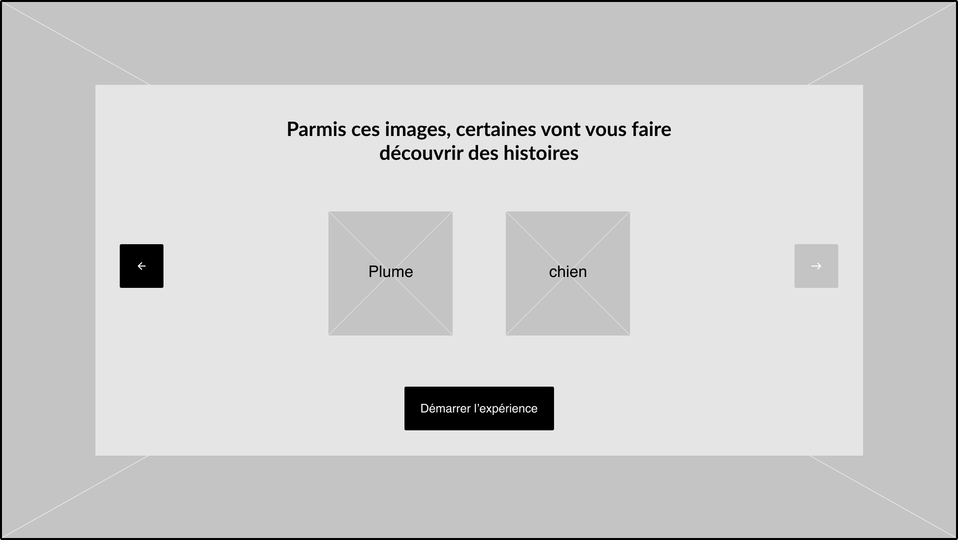 MaisonMotte_RoyalCanin_WF3
