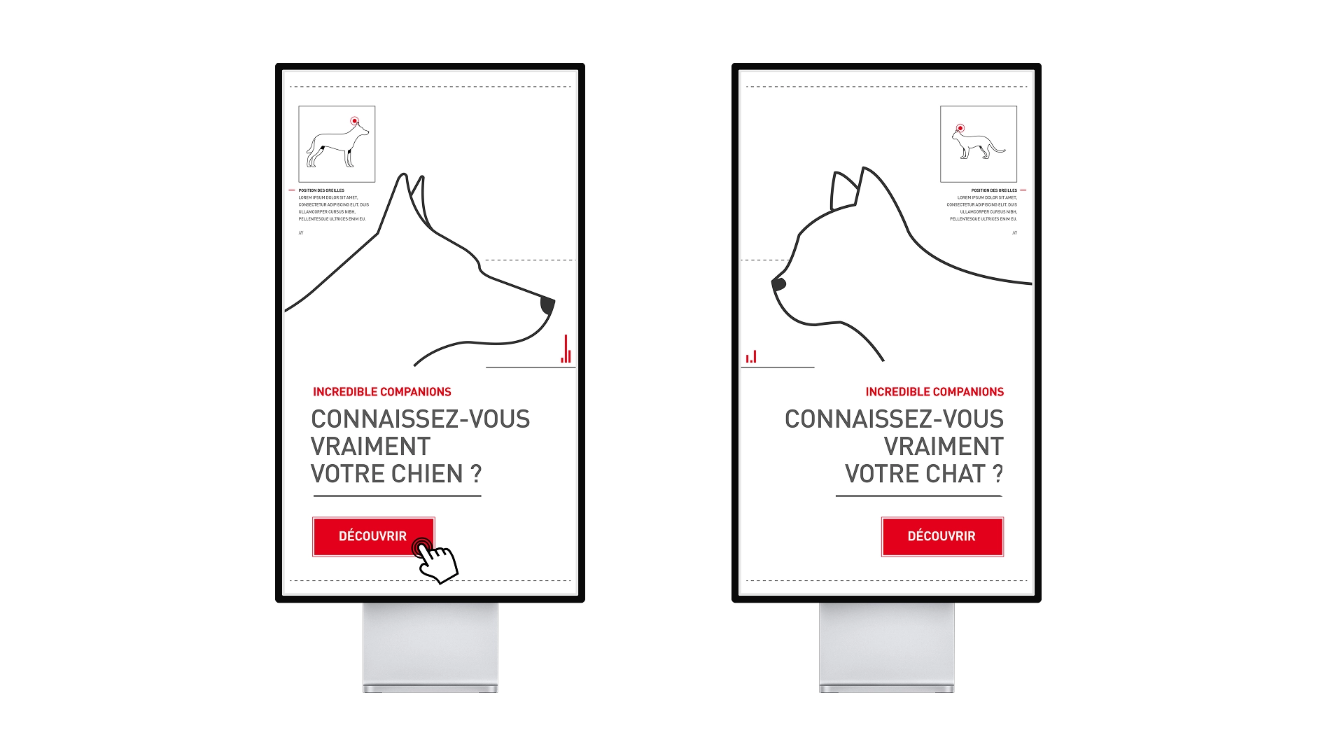 MaisonMotte_RoyalCanin_Cover